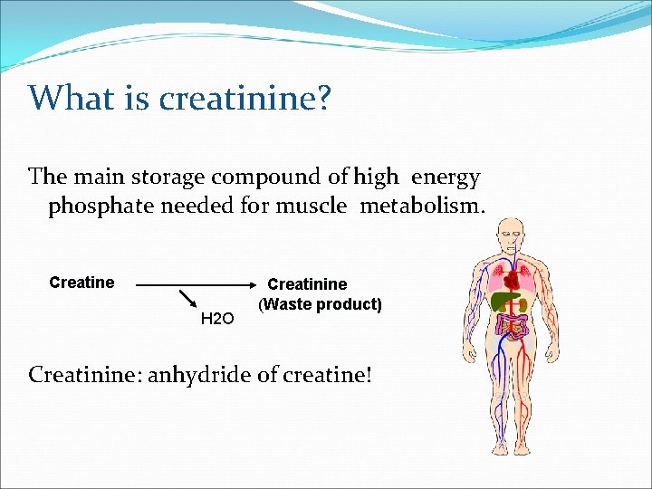 What is creatinine? The main storage compound of high energy phosphate needed for muscle