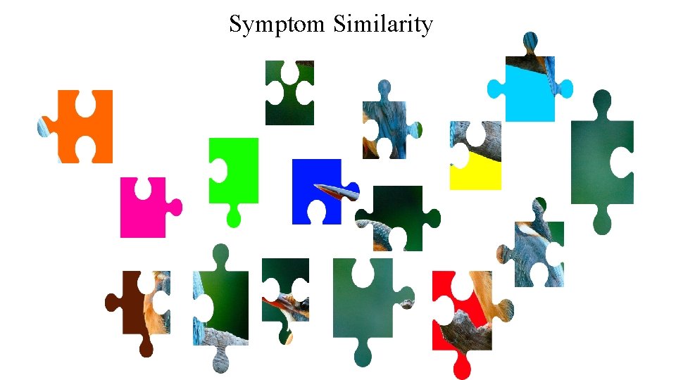 Symptom Similarity Symptom Similarity