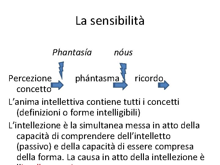 La sensibilità Phantasía nóus Percezione phántasma ricordo concetto L’anima intellettiva contiene tutti i concetti
