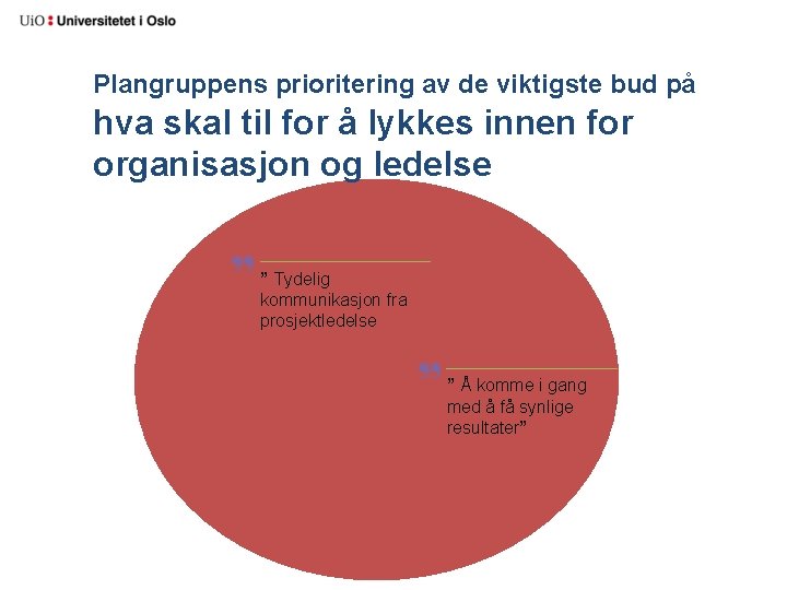 Plangruppens prioritering av de viktigste bud på hva skal til for å lykkes innen