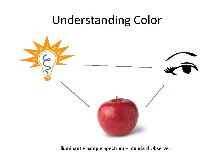 Understanding Color Illuminant + Sample Spectrum + Standard Observer 