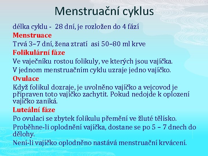 Menstruační cyklus délka cyklu - 28 dní, je rozložen do 4 fází Menstruace Trvá