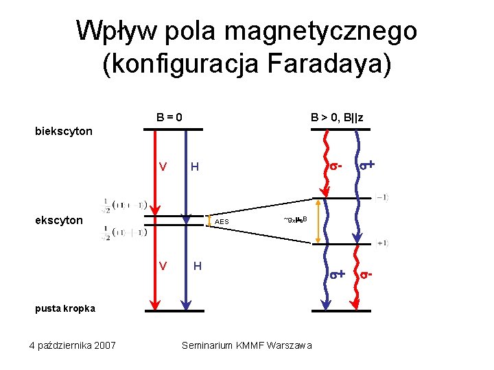 Wpływ pola magnetycznego (konfiguracja Faradaya) B > 0, B||z B=0 biekscyton V H ekscyton