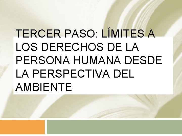 TERCER PASO: LÍMITES A LOS DERECHOS DE LA PERSONA HUMANA DESDE LA PERSPECTIVA DEL