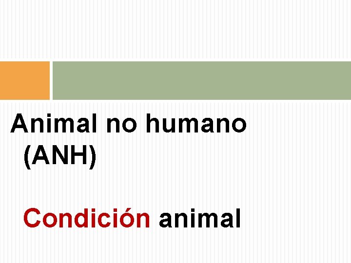 Animal no humano (ANH) Condición animal 
