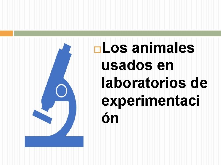 Los animales usados en laboratorios de experimentaci ón 