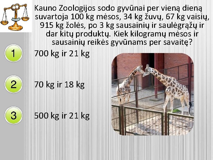 Kauno Zoologijos sodo gyvūnai per vieną dieną suvartoja 100 kg mėsos, 34 kg žuvų,