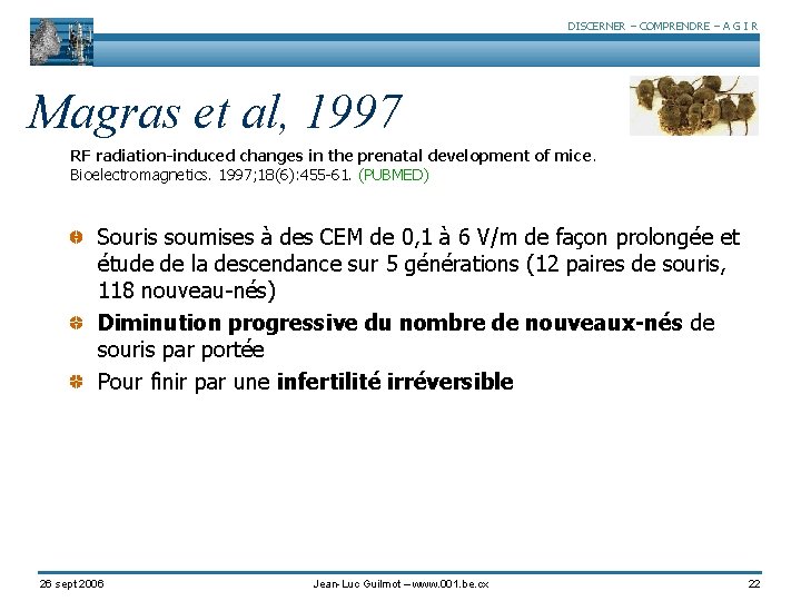 DISCERNER – COMPRENDRE – A G I R Magras et al, 1997 RF radiation-induced