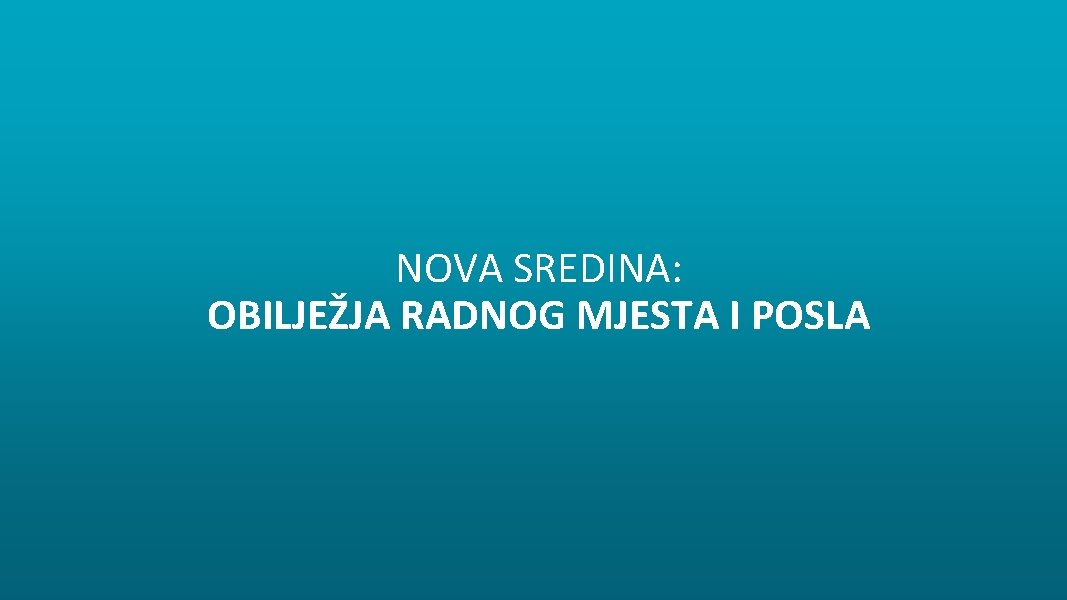 NOVA SREDINA: OBILJEŽJA RADNOG MJESTA I POSLA 