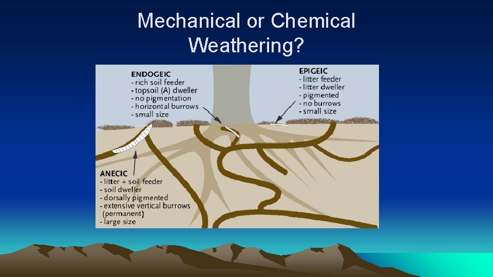 Mechanical or Chemical Weathering? 