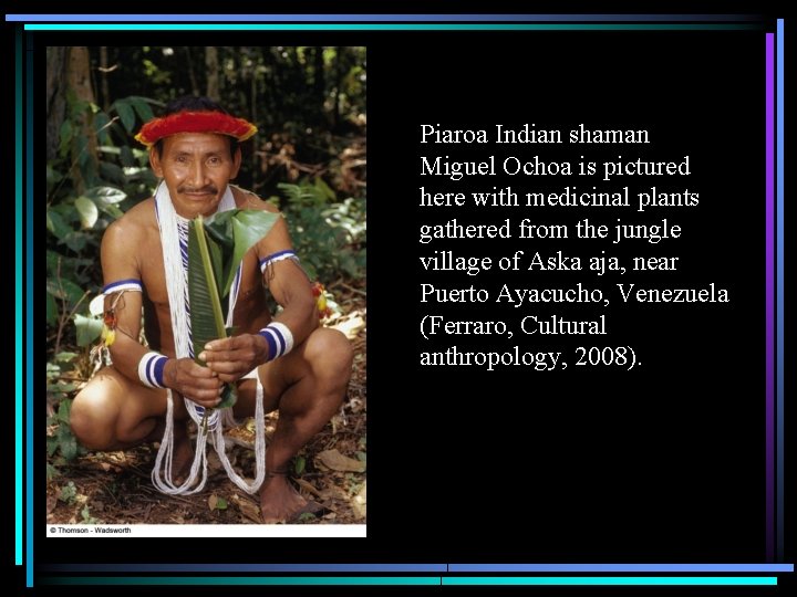 Piaroa Indian shaman Miguel Ochoa is pictured here with medicinal plants gathered from the