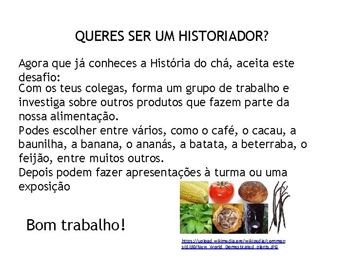 QUERES SER UM HISTORIADOR? Agora que já conheces a História do chá, aceita este