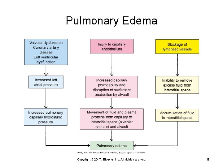 Pulmonary Edema Copyright © 2017, Elsevier Inc. All rights reserved. 18 