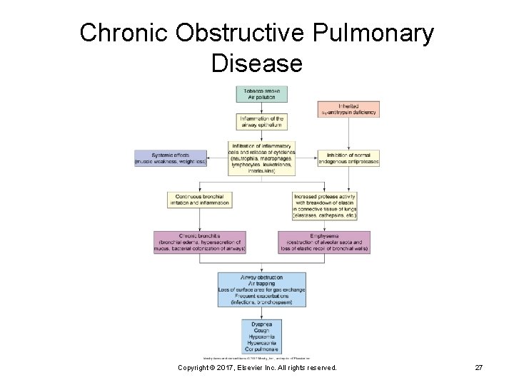 Chronic Obstructive Pulmonary Disease Copyright © 2017, Elsevier Inc. All rights reserved. 27 