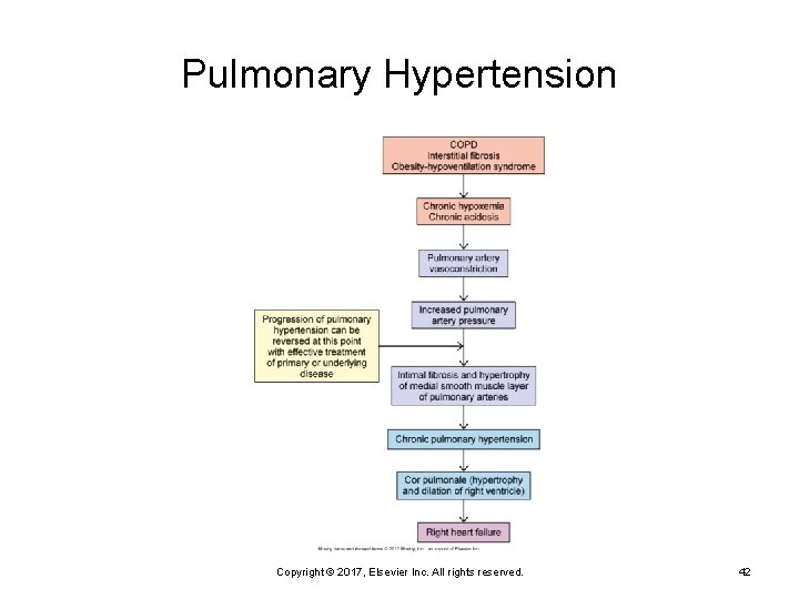 Pulmonary Hypertension Copyright © 2017, Elsevier Inc. All rights reserved. 42 