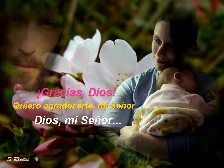 ¡Gracias, Dios! Quiero agradecerte, mi Señor Dios, mi Señor. . . 
