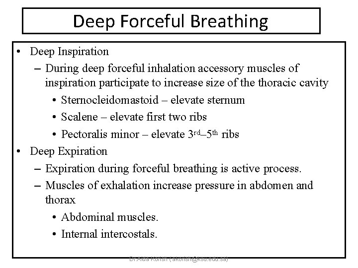 Deep Forceful Breathing • Deep Inspiration – During deep forceful inhalation accessory muscles of