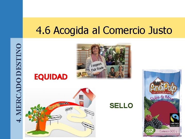 4. MERCADO DESTINO 4. 6 Acogida al Comercio Justo EQUIDAD SELLO 