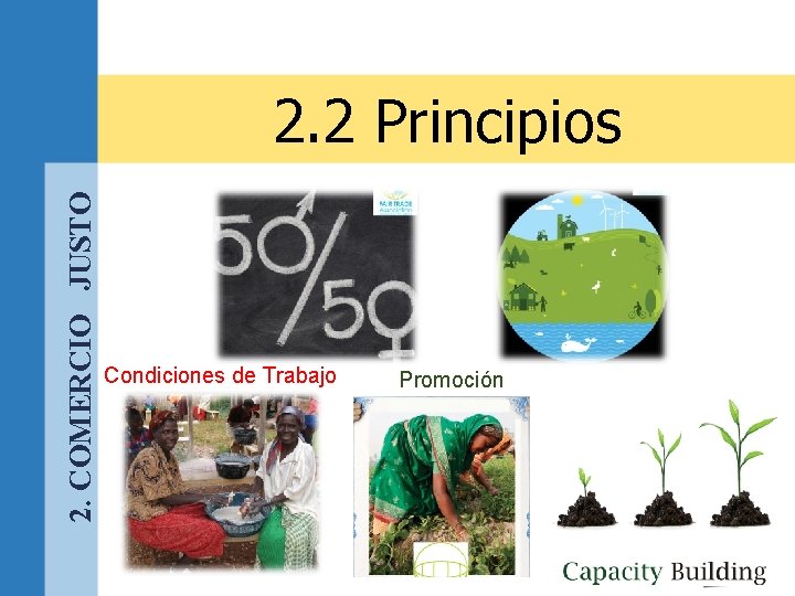 2. COMERCIO JUSTO 2. 2 Principios Condiciones de Trabajo Promoción 