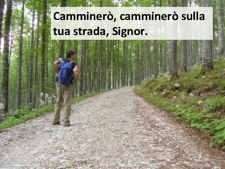 Camminerò, camminerò sulla tua strada, Signor. 