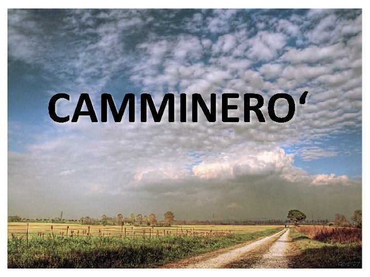 CAMMINERO‘ 