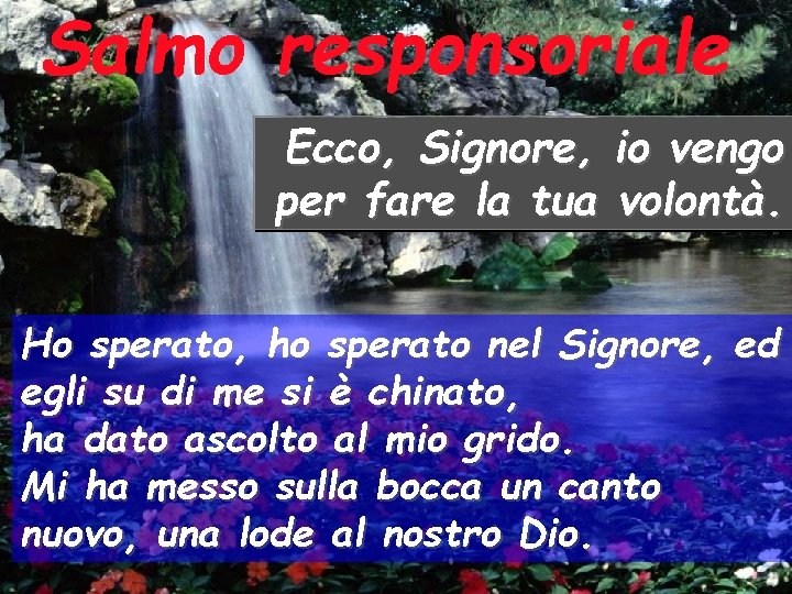 Salmo responsoriale Ecco, Signore, per fare la tua io vengo volontà. Ho sperato, ho