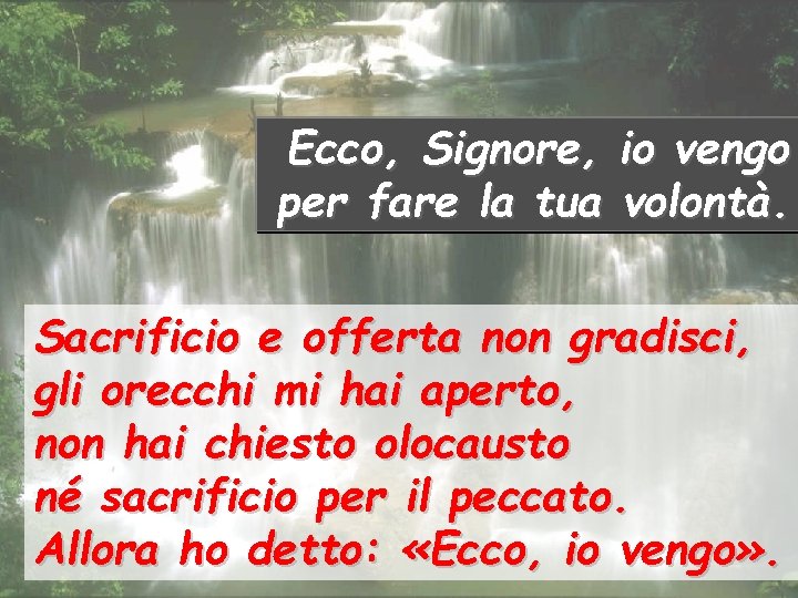 Ecco, Signore, per fare la tua io vengo volontà. Sacrificio e offerta non gradisci,