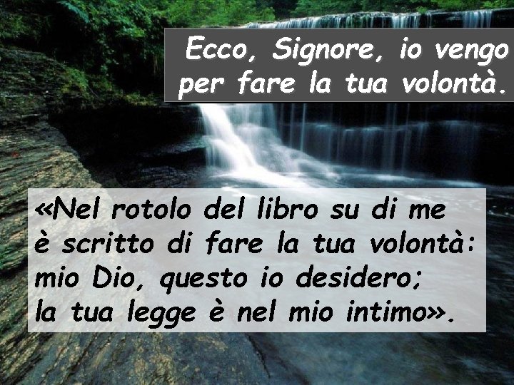 Ecco, Signore, io vengo per fare la tua volontà. «Nel rotolo del libro su