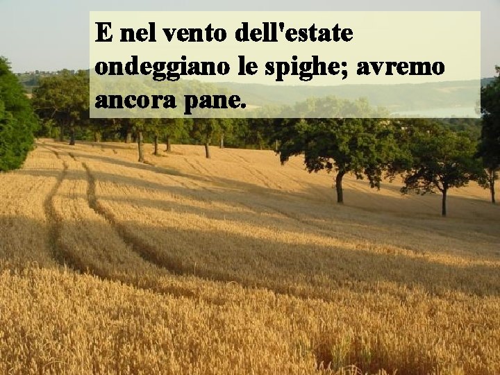 E nel vento dell'estate ondeggiano le spighe; avremo ancora pane. 