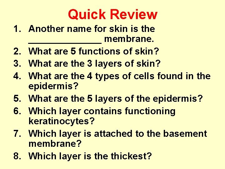 Quick Review 1. Another name for skin is the _______ membrane. 2. What are Quick Review 1. Another name for skin is the _______ membrane. 2. What are