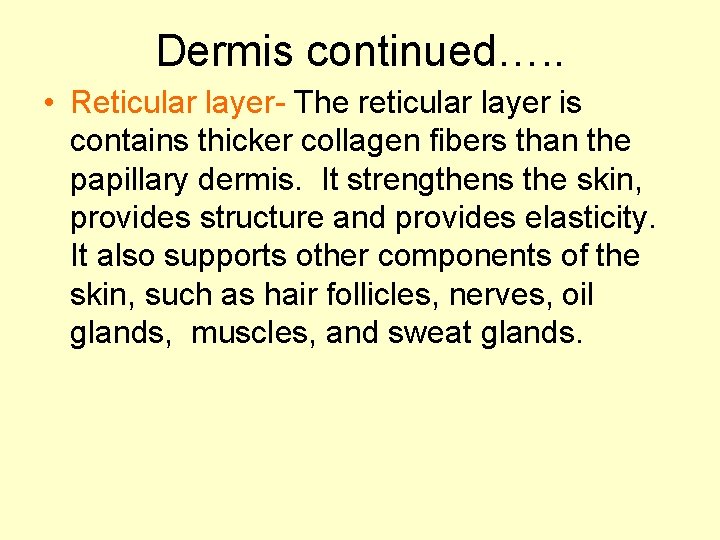 Dermis continued…. . • Reticular layer- The reticular layer is contains thicker collagen fibers Dermis continued…. . • Reticular layer- The reticular layer is contains thicker collagen fibers