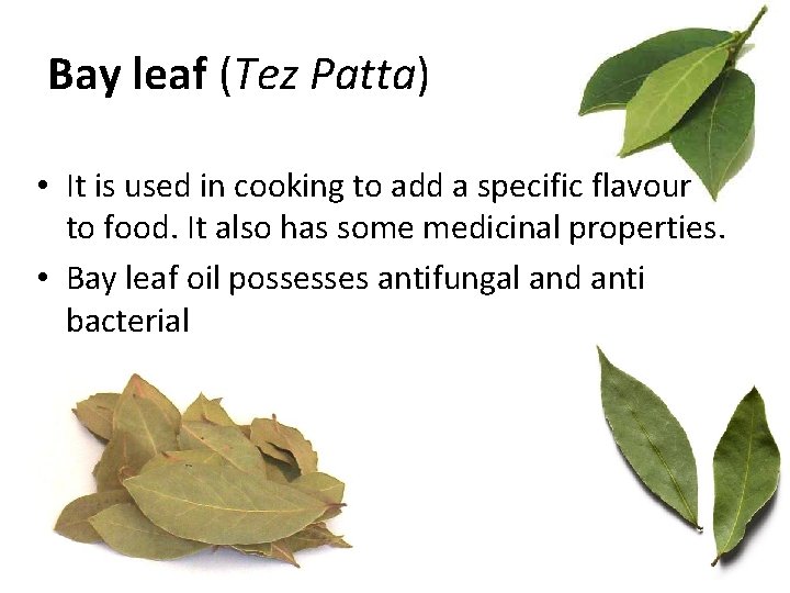 Bay leaf (Tez Patta) • It is used in cooking to add a specific Bay leaf (Tez Patta) • It is used in cooking to add a specific
