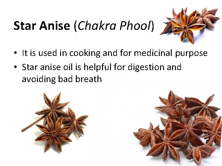Star Anise (Chakra Phool) • It is used in cooking and for medicinal purpose Star Anise (Chakra Phool) • It is used in cooking and for medicinal purpose