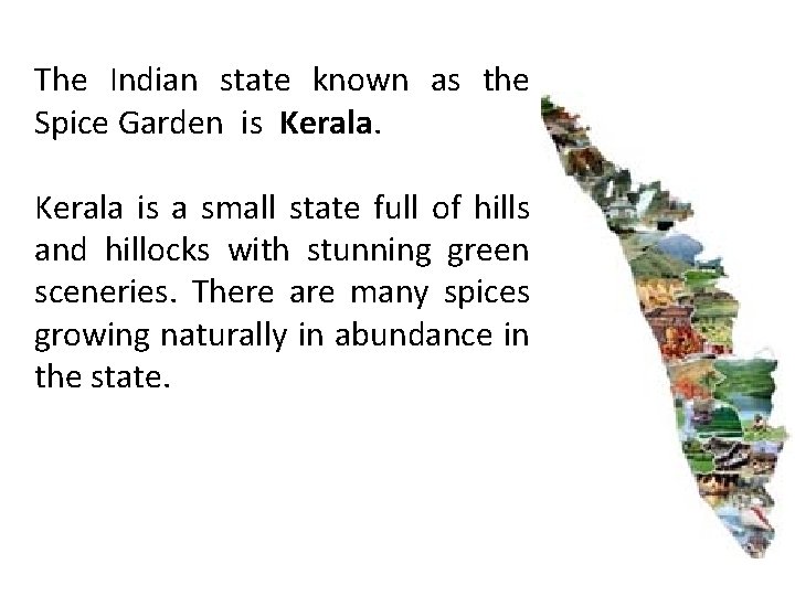 The Indian state known as the Spice Garden is Kerala is a small state The Indian state known as the Spice Garden is Kerala is a small state