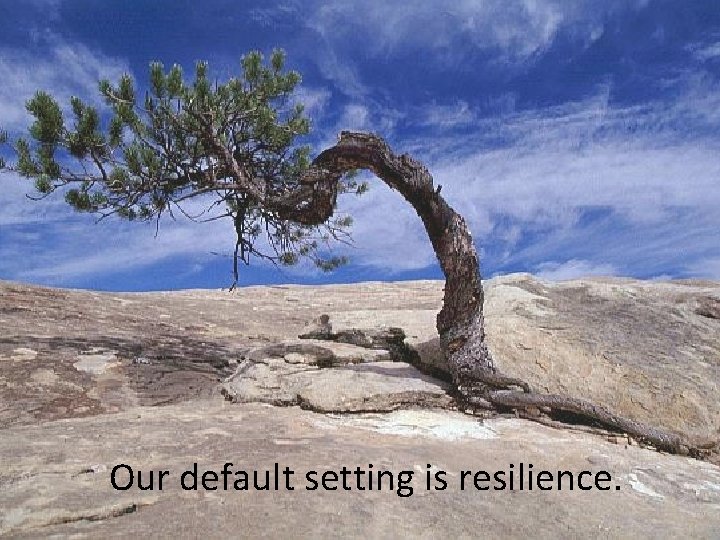  Our default setting is resilience. 