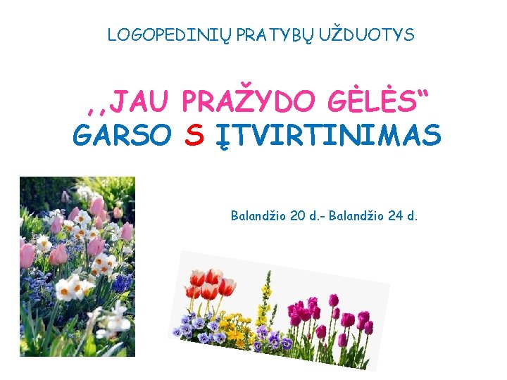 LOGOPEDINIŲ PRATYBŲ UŽDUOTYS , , JAU PRAŽYDO GĖLĖS“ GARSO S ĮTVIRTINIMAS Balandžio 20 d.