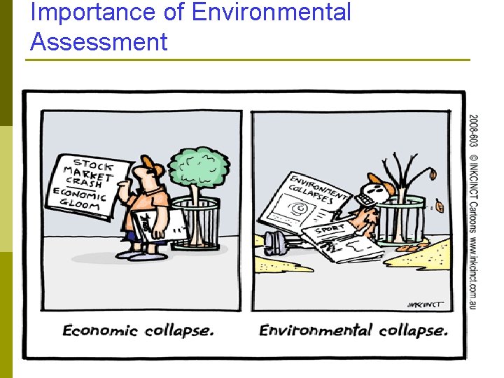 Importance of Environmental Assessment 