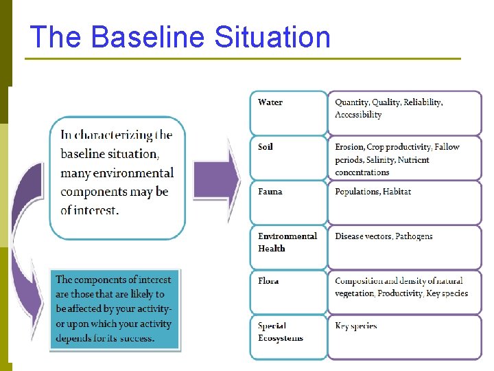 The Baseline Situation 