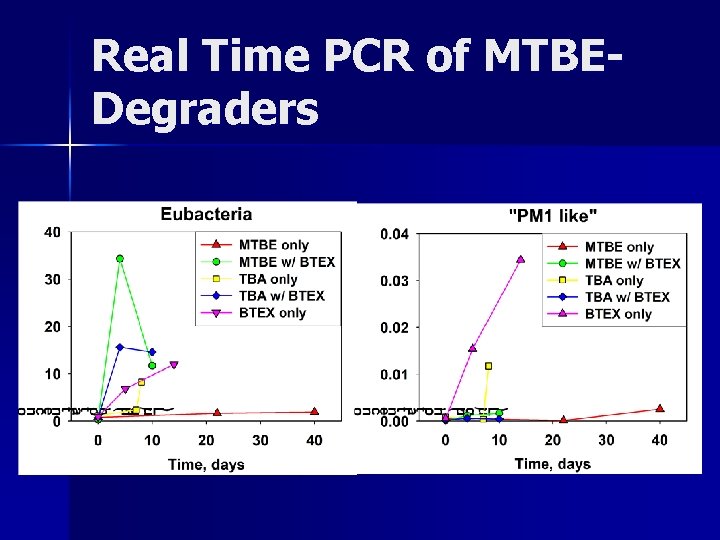 Real Time PCR of MTBEDegraders Real Time PCR of MTBEDegraders