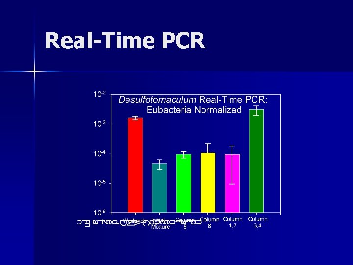 Real-Time PCR Real-Time PCR