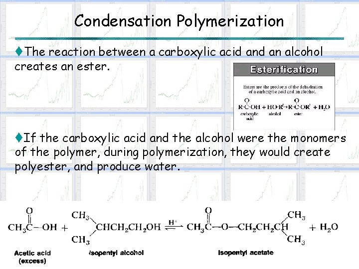 Condensation Polymerization t. The reaction between a carboxylic acid an alcohol creates an ester.