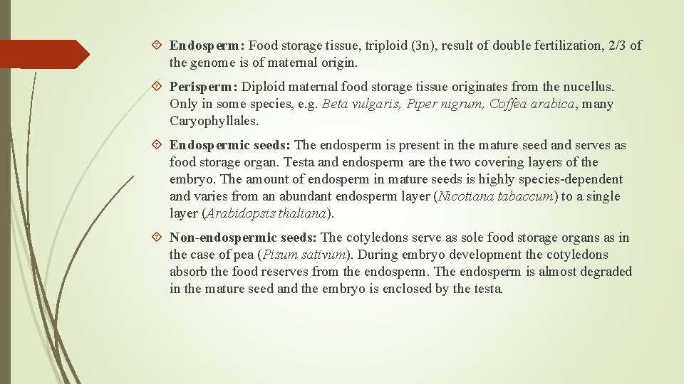  Endosperm: Food storage tissue, triploid (3 n), result of double fertilization, 2/3 of