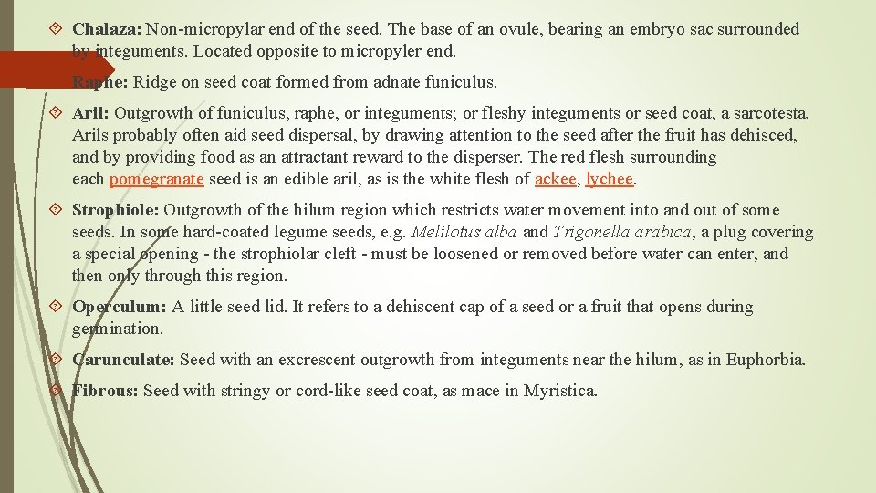  Chalaza: Non-micropylar end of the seed. The base of an ovule, bearing an