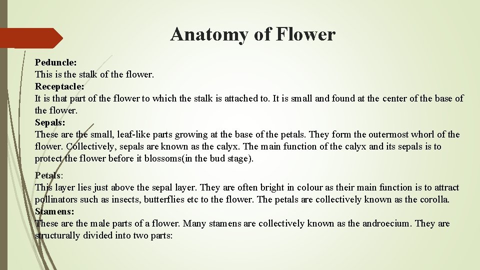  Anatomy of Flower Peduncle: This is the stalk of the flower. Receptacle: It