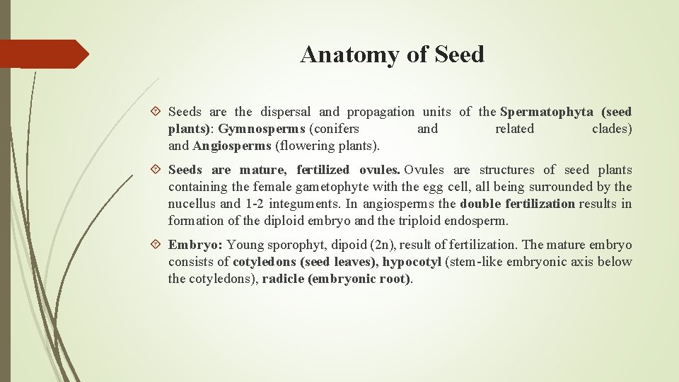 Anatomy of Seeds are the dispersal and propagation units of the Spermatophyta (seed plants):