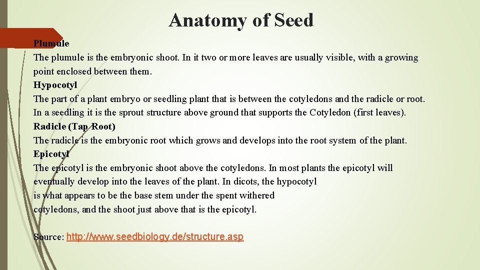  Anatomy of Seed Plumule The plumule is the embryonic shoot. In it two