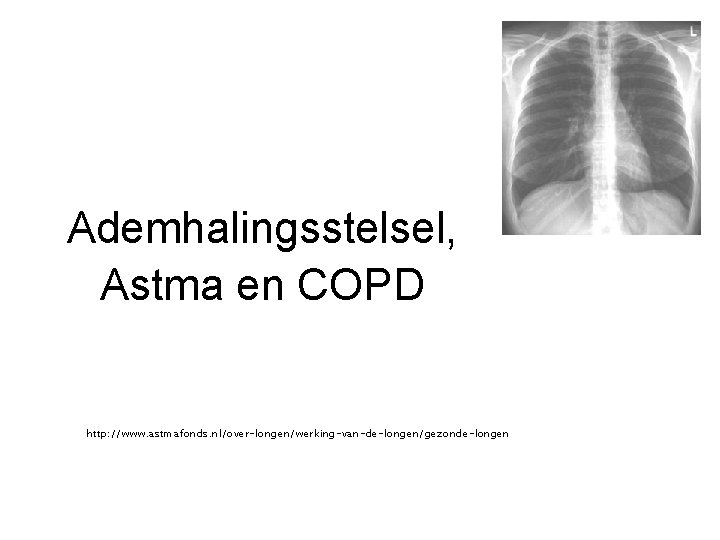 Ademhalingsstelsel, Astma en COPD http: //www. astmafonds. nl/over-longen/werking-van-de-longen/gezonde-longen 