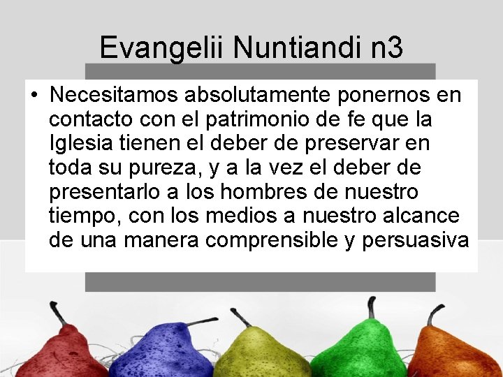 Evangelii Nuntiandi n 3 • Necesitamos absolutamente ponernos en contacto con el patrimonio de