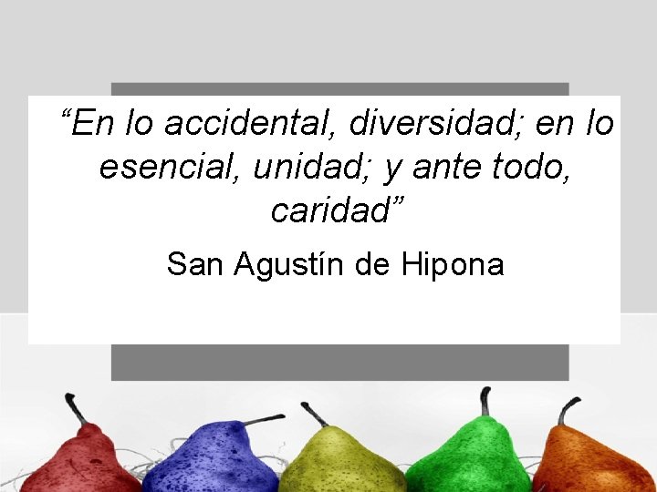 “En lo accidental, diversidad; en lo esencial, unidad; y ante todo, caridad” San Agustín