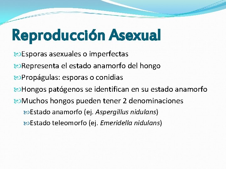 Reproducción Asexual Esporas asexuales o imperfectas Representa el estado anamorfo del hongo Propágulas: esporas Reproducción Asexual Esporas asexuales o imperfectas Representa el estado anamorfo del hongo Propágulas: esporas